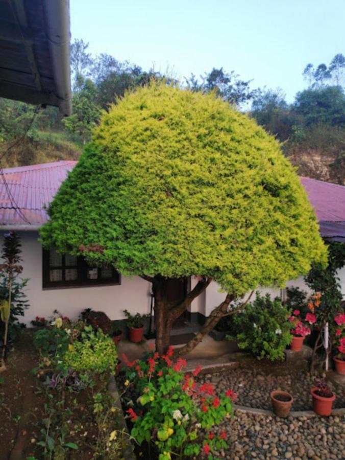 Hotel Rheinberg Town Haus Munnar Zewnętrze zdjęcie