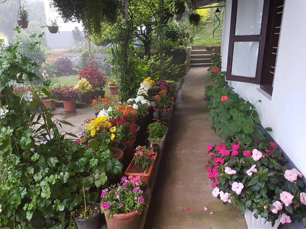 Hotel Rheinberg Town Haus Munnar Zewnętrze zdjęcie