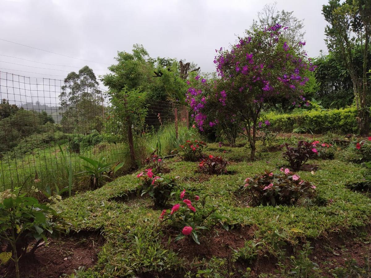 Hotel Rheinberg Town Haus Munnar Zewnętrze zdjęcie